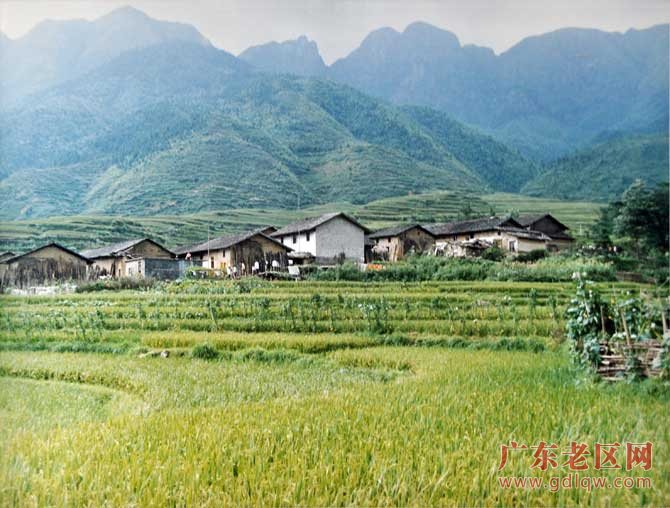 图片说明