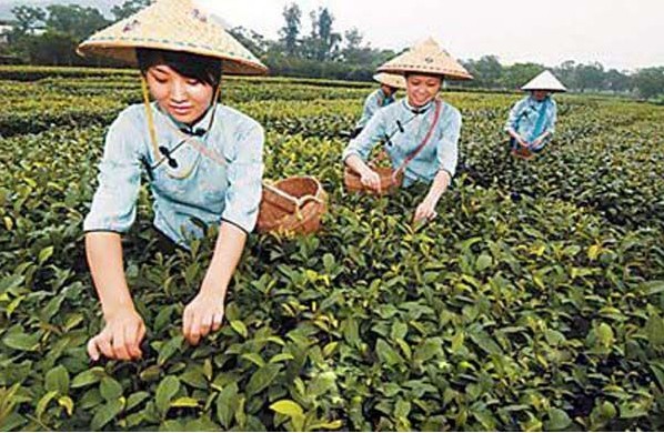 图片说明