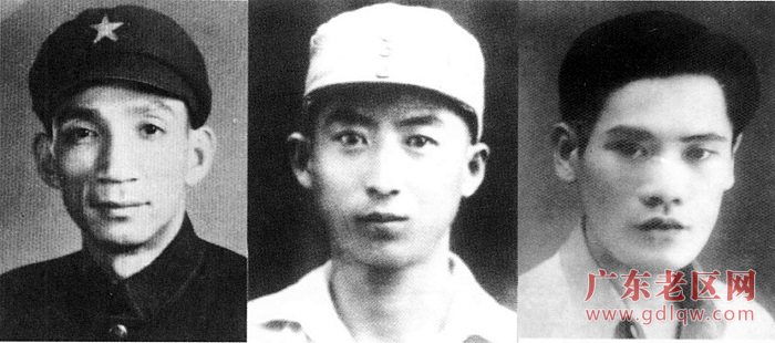 图片说明