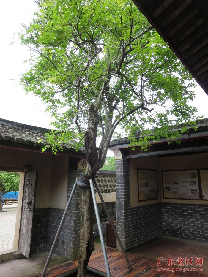 图片说明
