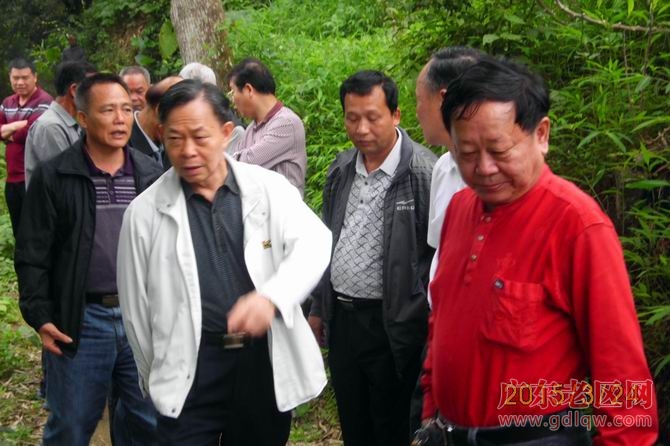 图片说明