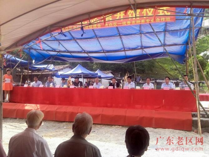 图片说明