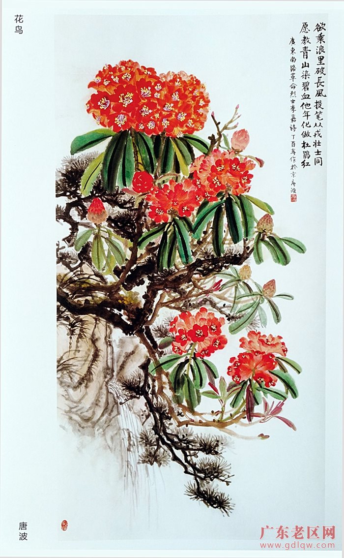 图片说明