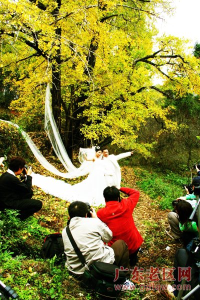 图片说明
