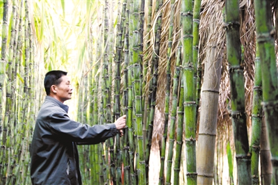 图片说明