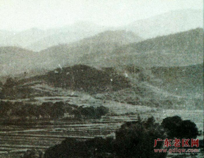 图片说明