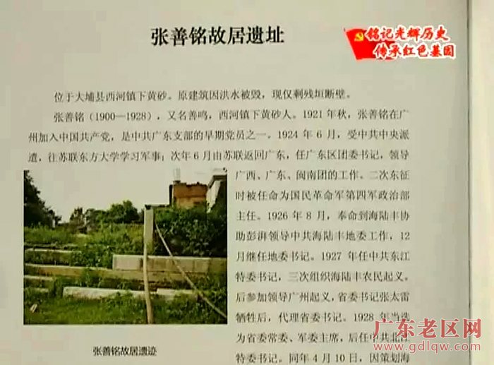 图片说明
