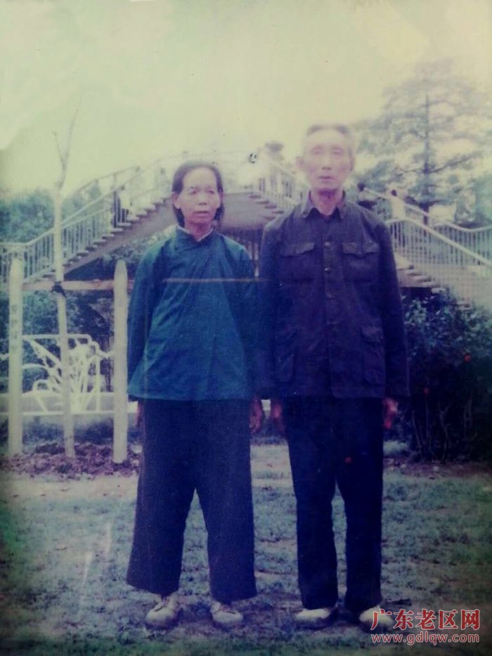 图片说明