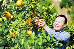 图片说明