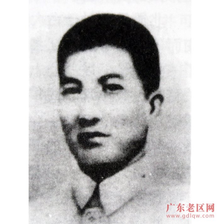 图片说明