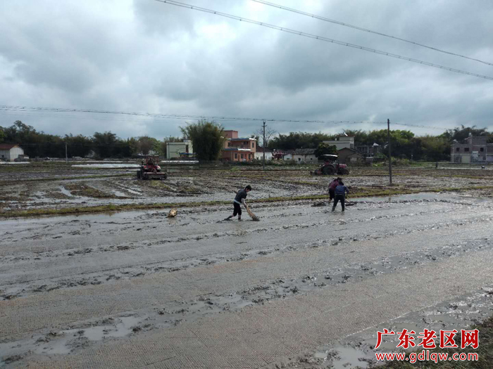 图片说明