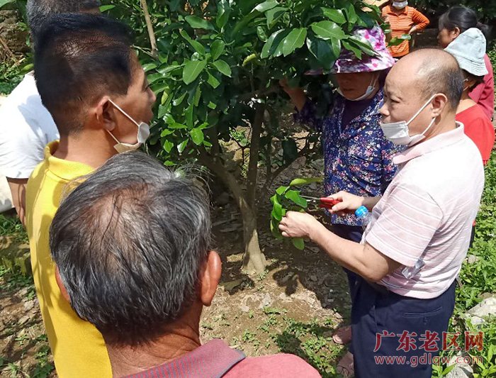 图片说明