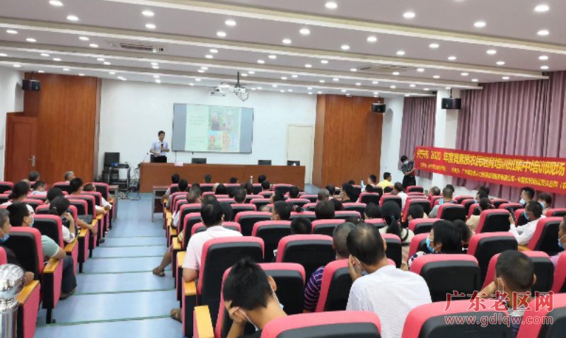 图片说明