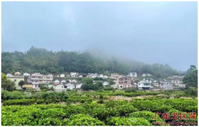 2、四望坪村新貌。.png