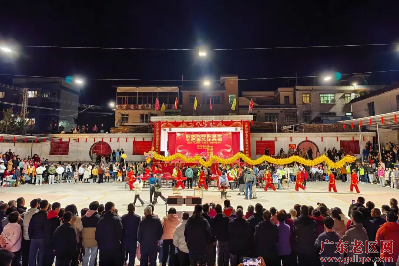1月29日晚上，新丰县大席老区片举办2025大席春节联欢晚会，活动现场，唱响《大席水路歌》非遗之作，以及舞龙、客家农具秀等精彩节目，展现了乡村的独特魅力。潘俊才、新旅。 (2).jpg