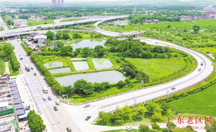 1近年来，水步镇先后投入约500万元用于周边廊道建设。.png